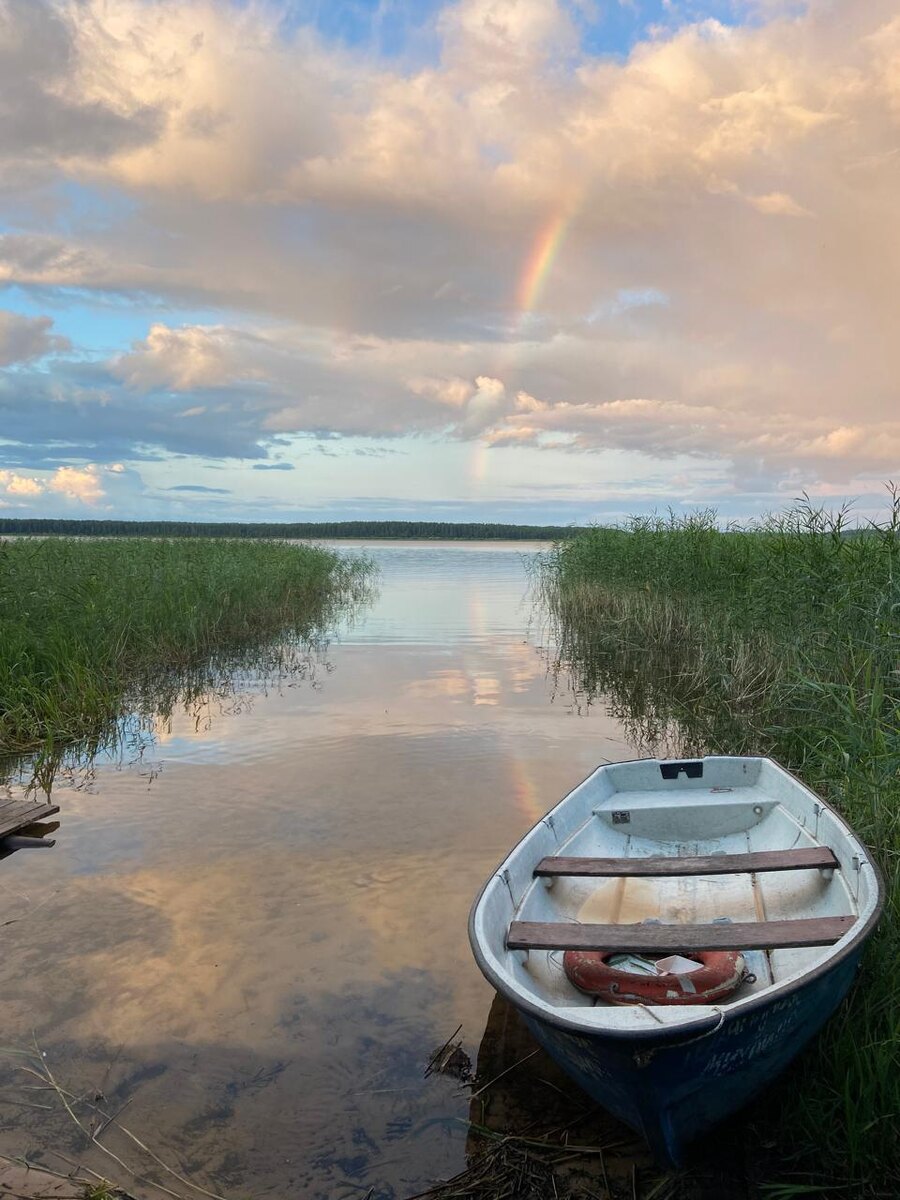 (Без комментариев)