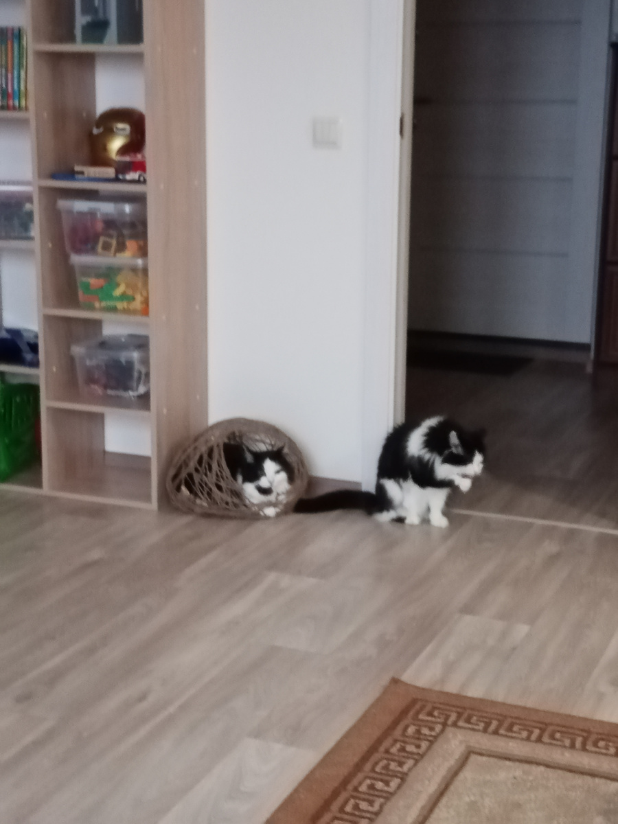 Фото из архива примерно того времени.