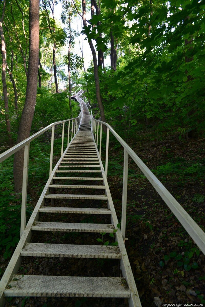 Лестница к монастырю