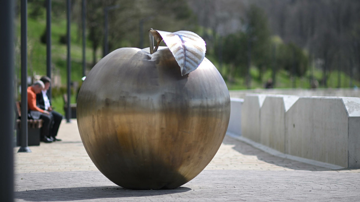 Фото: Алексей Гусев