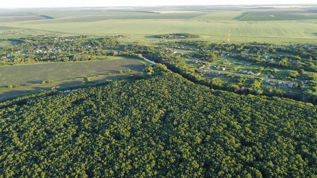 Вид на Юго-Восток (фото из свободного доступа)