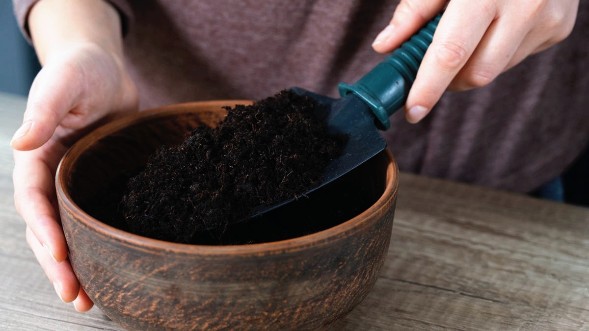 Проверяйте почву перед использованием, чтобы избежать заражения грибными мошками