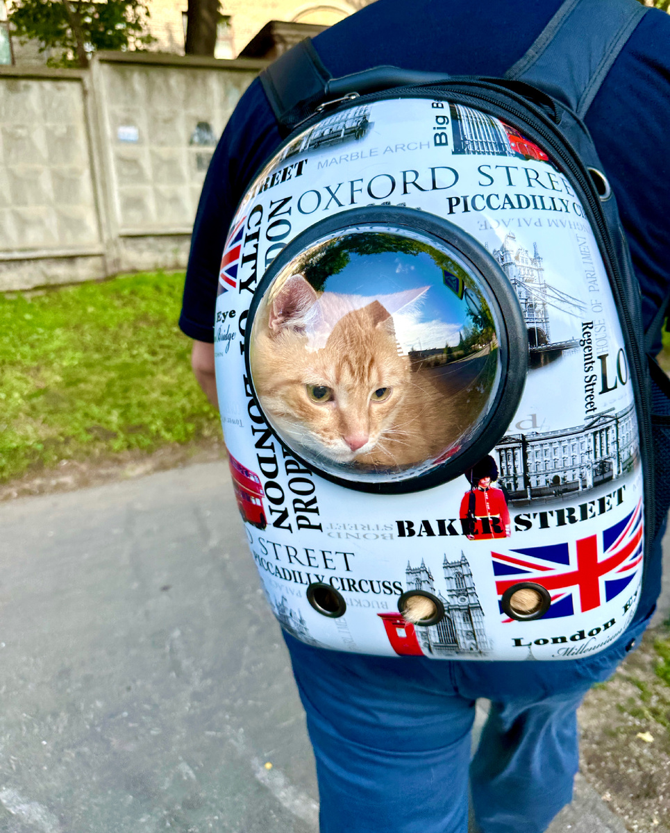 Фотография сделана автором канала