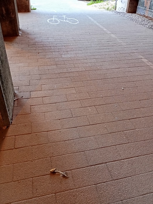 Рига, 18 июля 2024