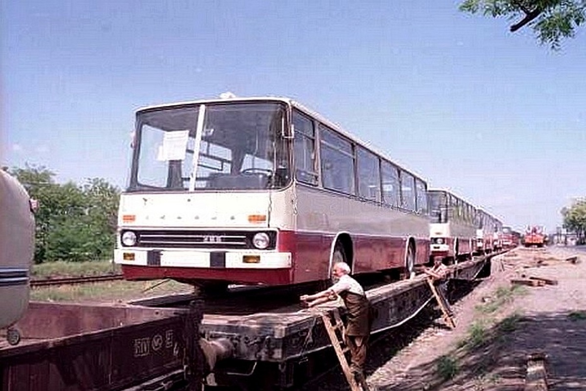 ▲ Автобусы Ikarus 255 для СССР. Год съёмки, предположительно, 1973