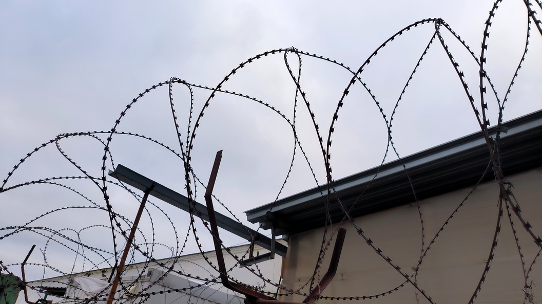    Maksim Konstantinov/Global Look Press