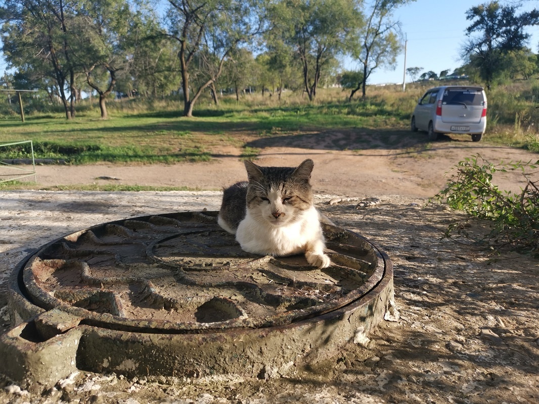Часть дней будут ясными и теплыми.  Фото: Фото: ФедералПресс / Антон Белый