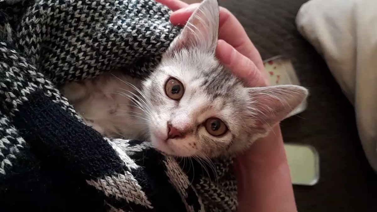 -2
