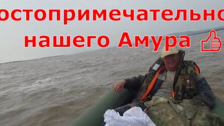 Рыбалка. Результаты. Достопримечательности нашего Амура 🐠