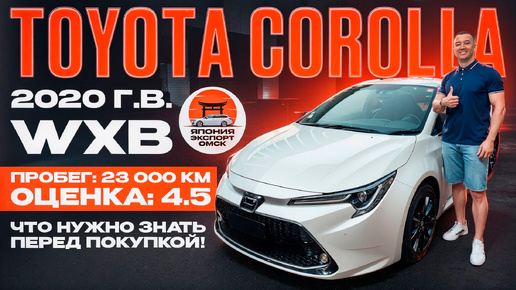 Toyota Corolla WxB - народный хит на максималках. На что обратить внимание.