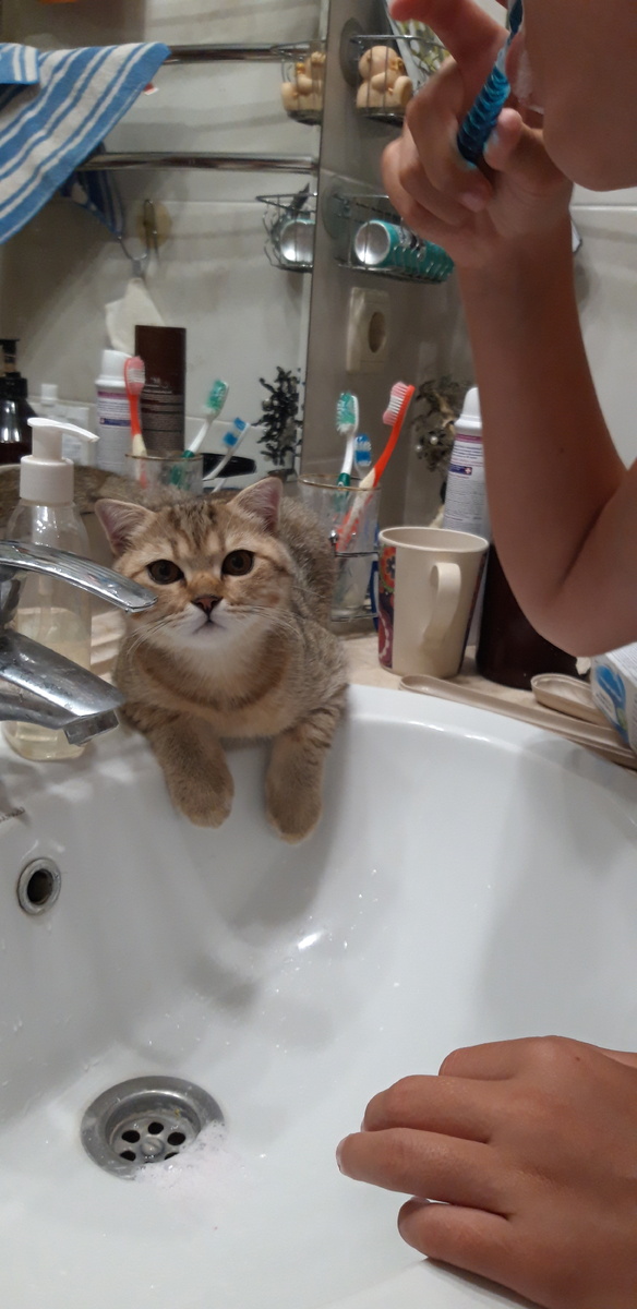 Вот еще фоточка... Тут я сижу, или даже лежу в шоке