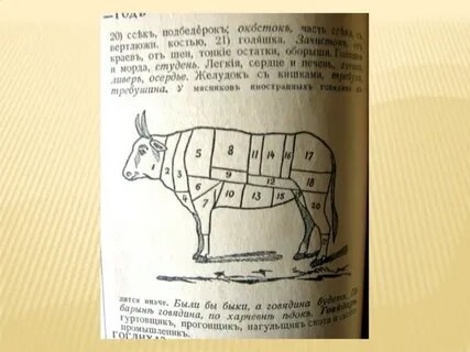 Вроде не очень сложное слово. Почти что корова ....
