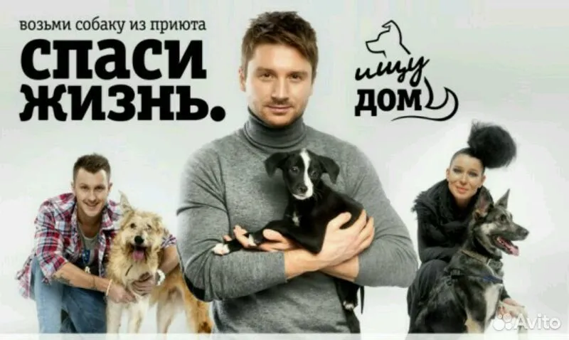 Взято из открытых источников