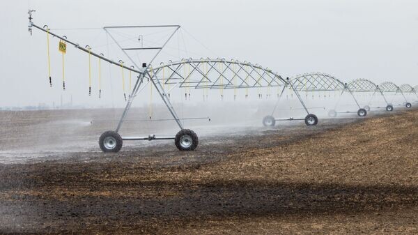    © Sputnik / Irina Leahova