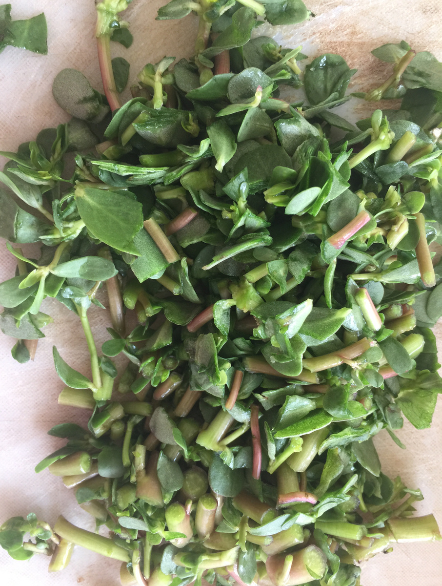 Нарезанный портулак (дандур)