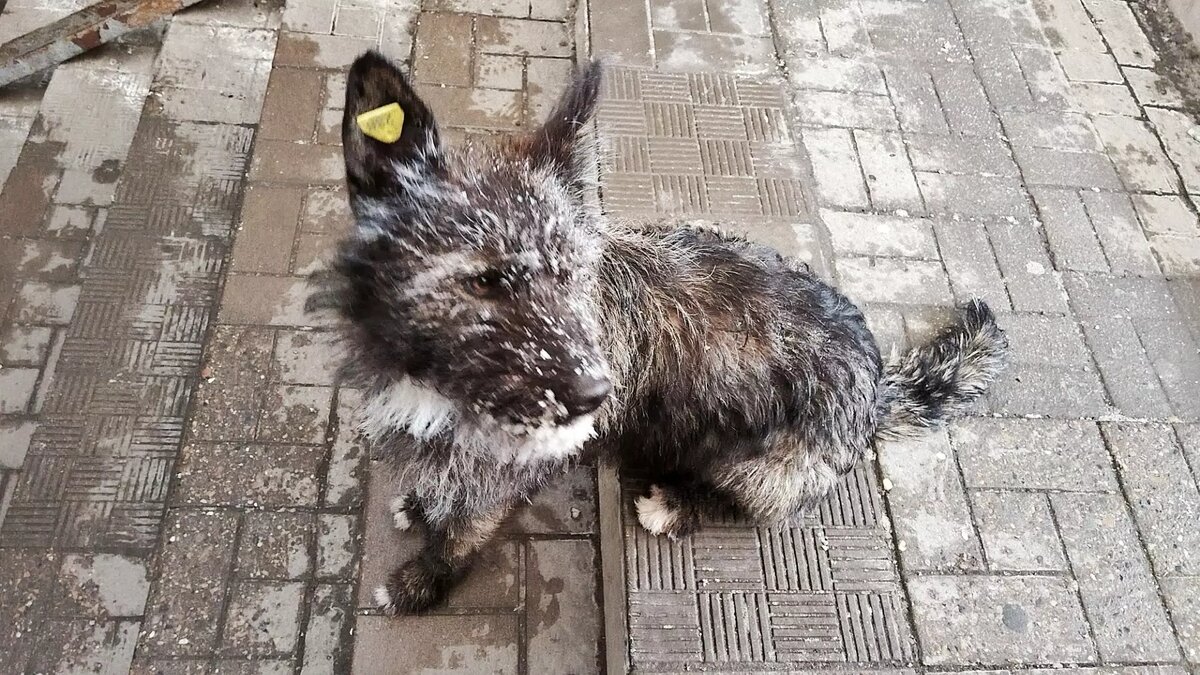     Источник: 56orb.ru