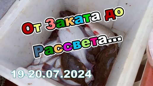 Рыбалка от заката до рассвета. Белое море. 19-20.07.2024. Камбала на удочку.