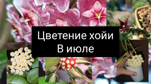 Минутка вдохновения