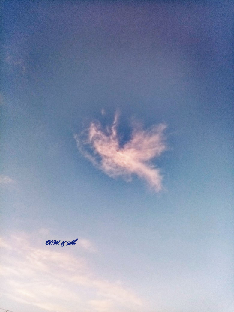 Добродушный Ангел...