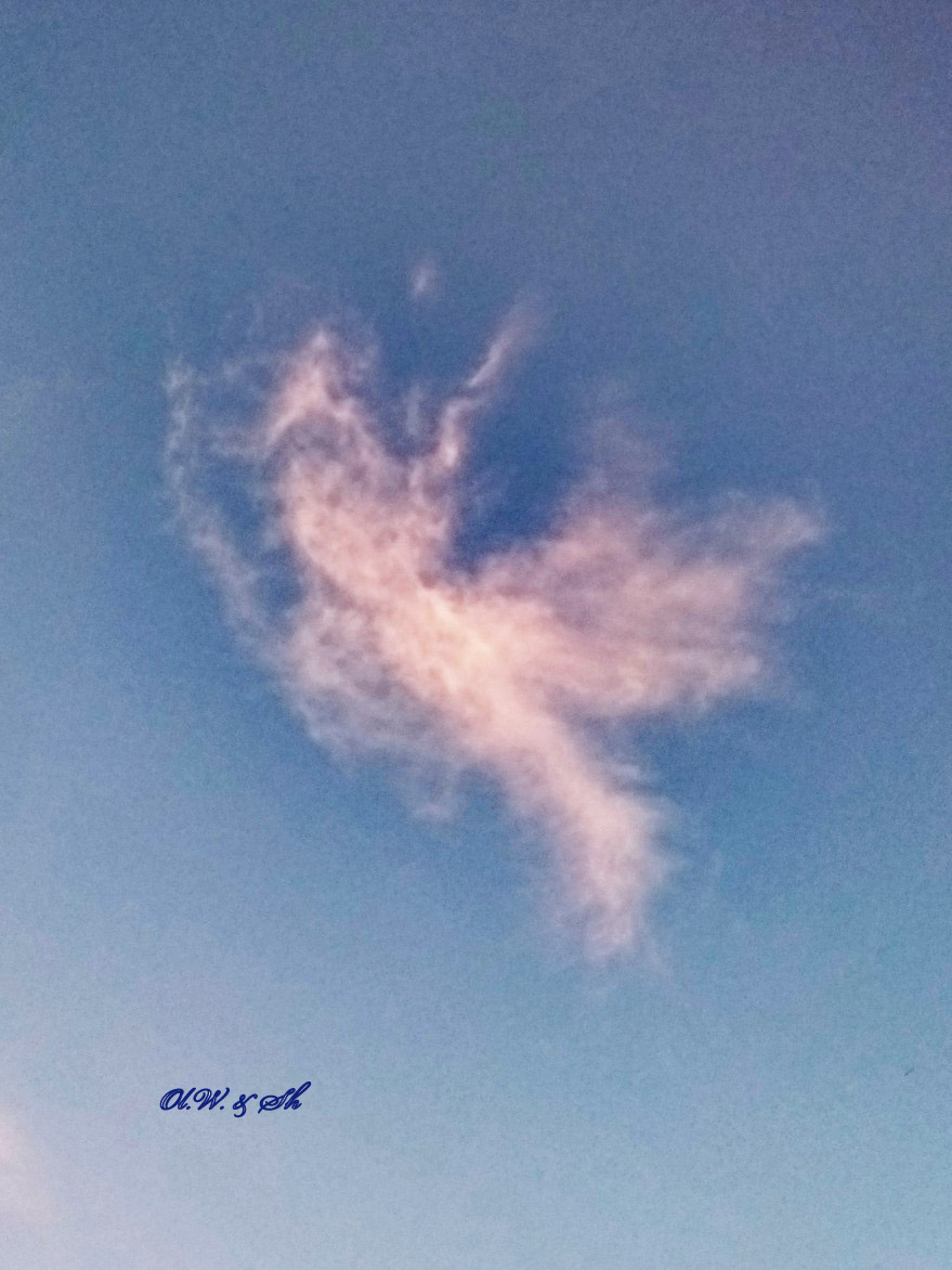 Добродушный Ангел...