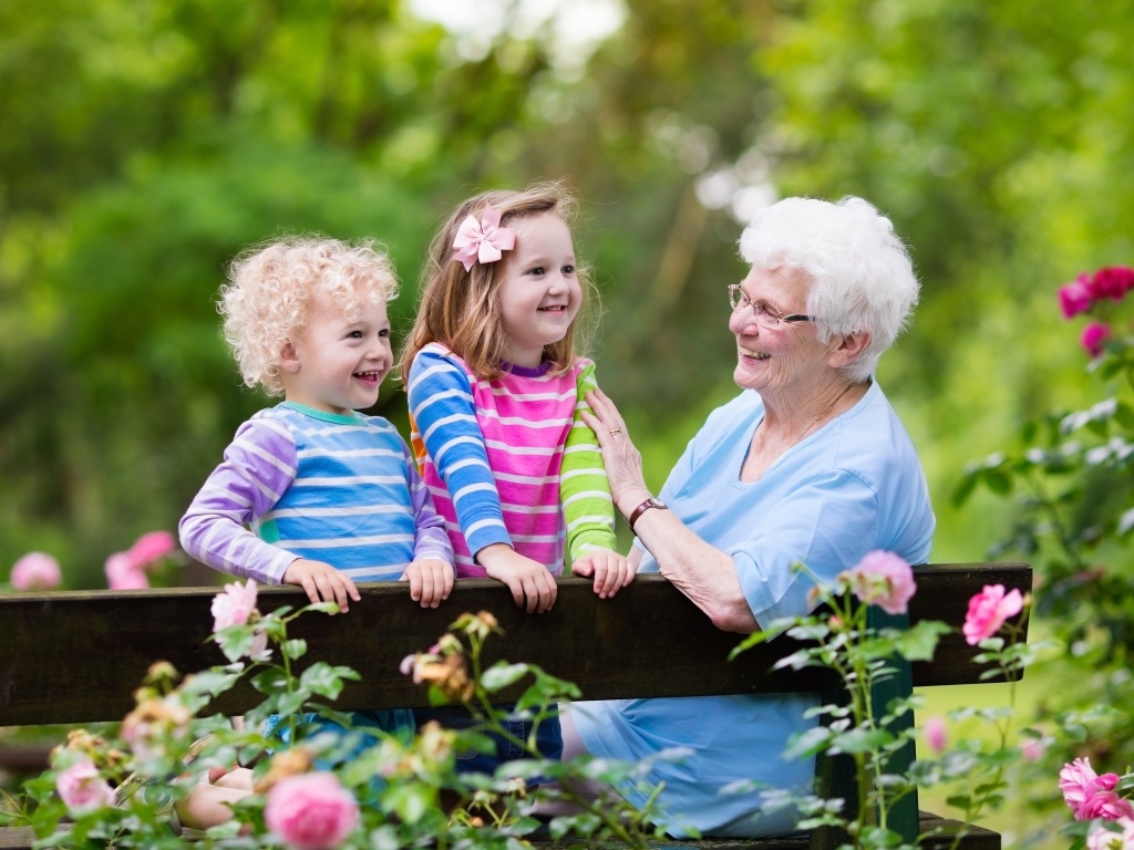 Фото из свободного источника