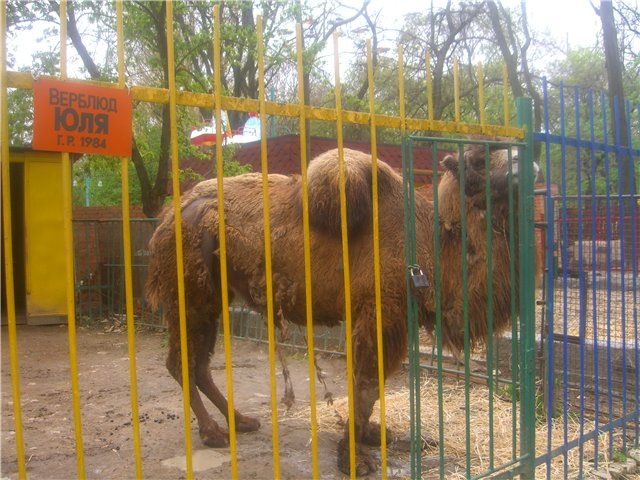 Юля которую я знаю.