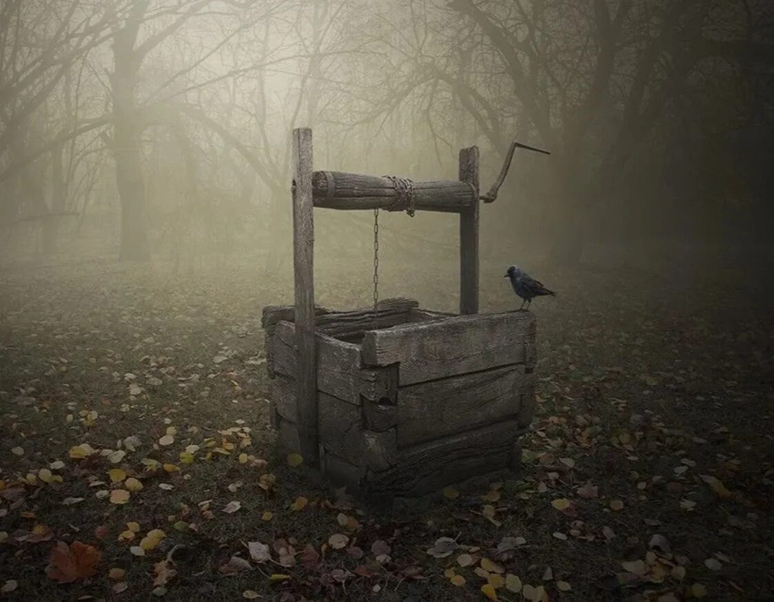 Изображение взято из открытых источников интернета. 