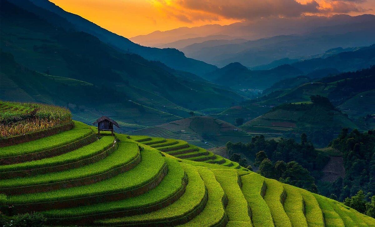 Фото из сети 