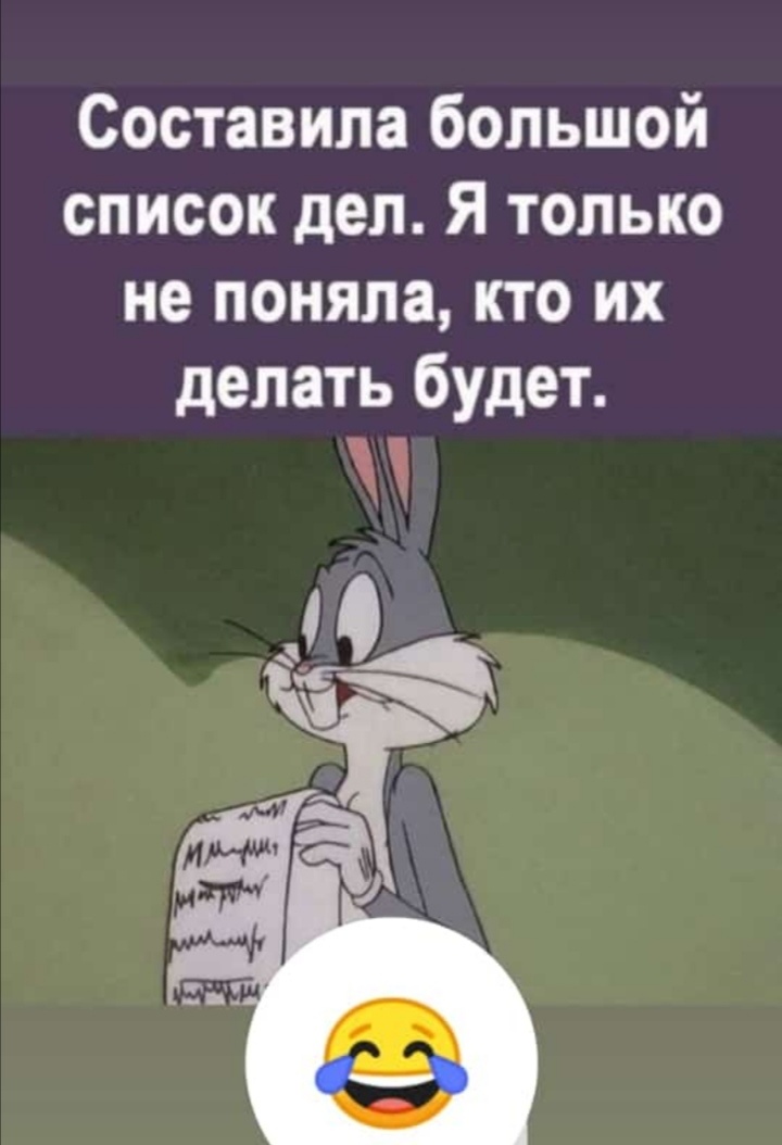 Очень хорошо описывающая меня картинка. Найдено на просторах интернета. 