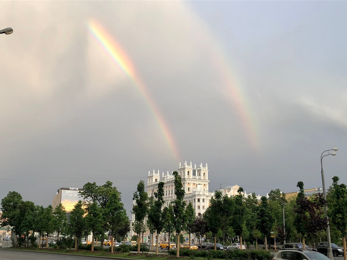 Фото Елены Стоун