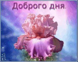 -11