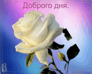 -23