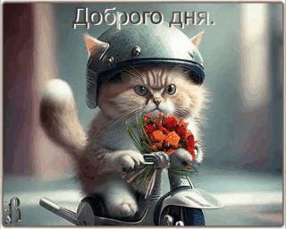 -24