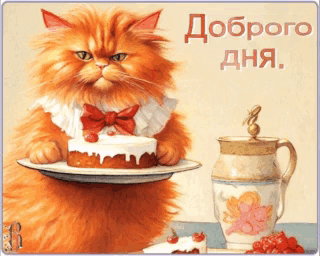 -26