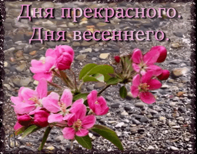 -49