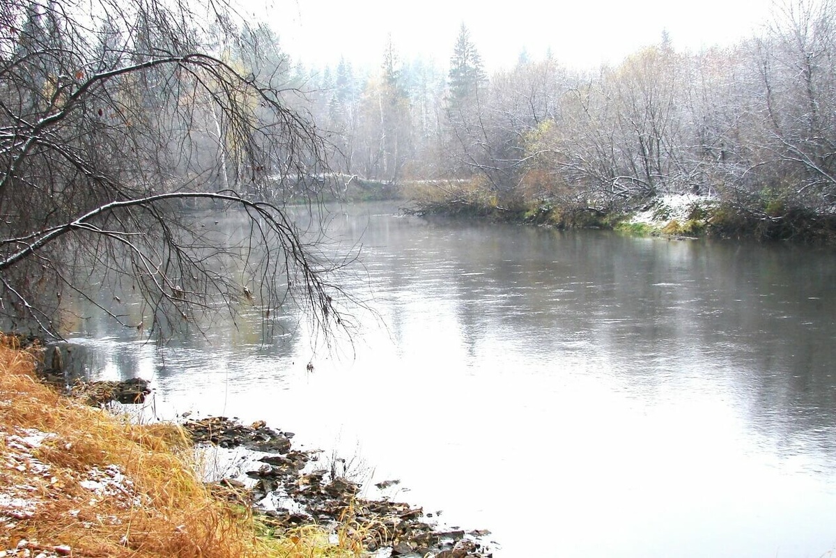 
Река Тагил. Источник: nashural.ru