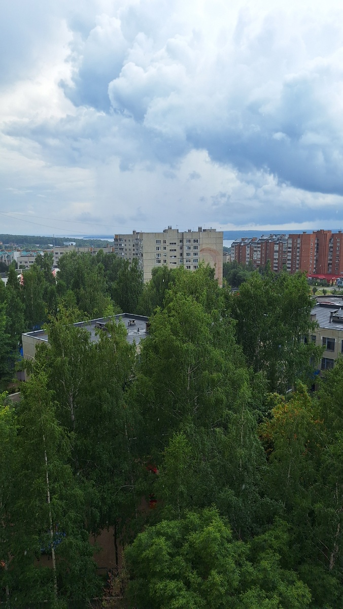 Дождик дождик пуще, дам тебе я гущи