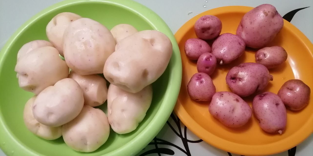 Выкопали картошку, закопайте её обратно. Что делать с молодой мелочью?