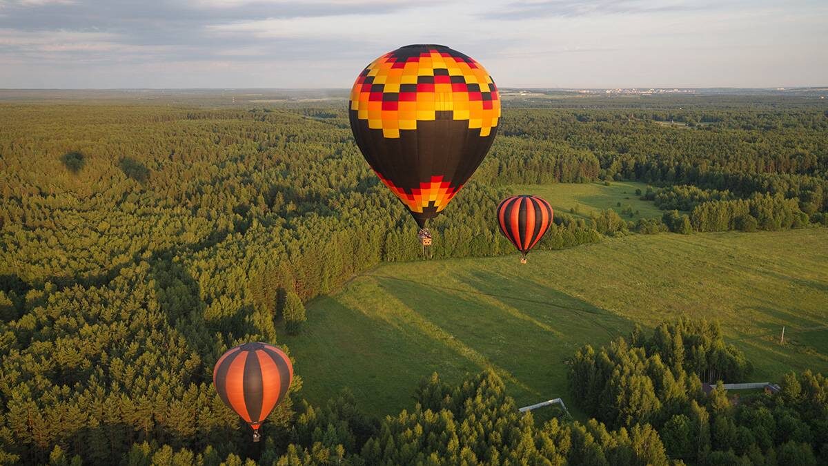    Фото: Shutterstock