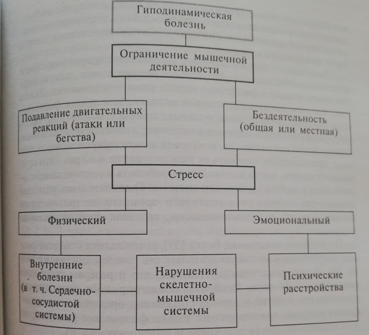Гиподинамия и её неприятные последствия