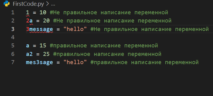 Если написать # то все что будет дальше программа не будет считывать.