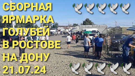 Сборная ярмарка голубей в Ростове на Дону. Птичий рынок 21.07.24. Николаевские голуби.