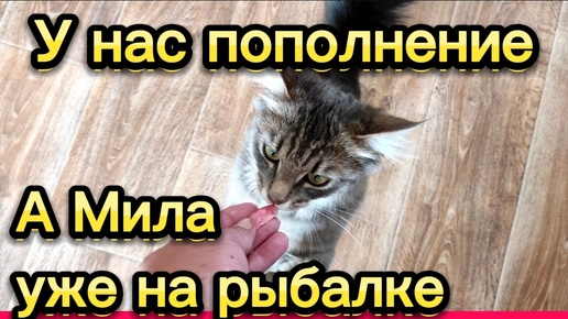 У нас пополнение 💞