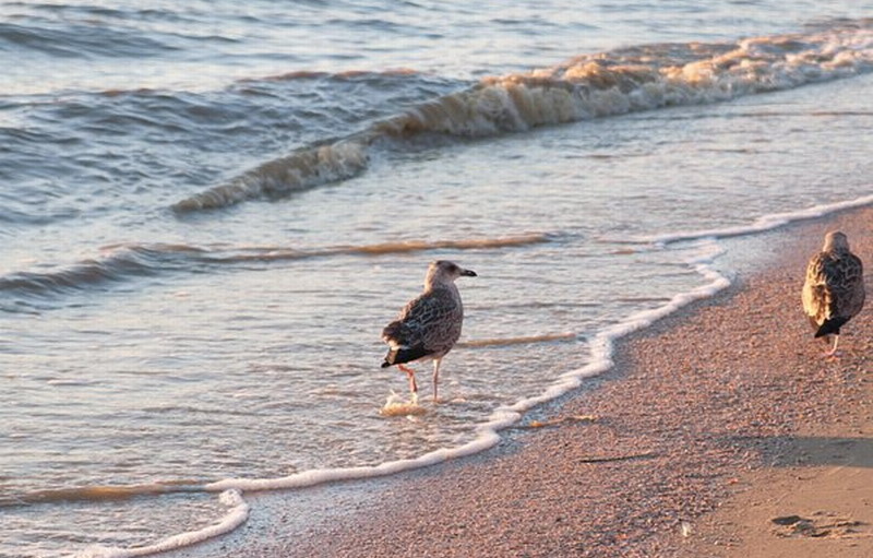 Глафировка – кубанская деревня на теплом морском берегу