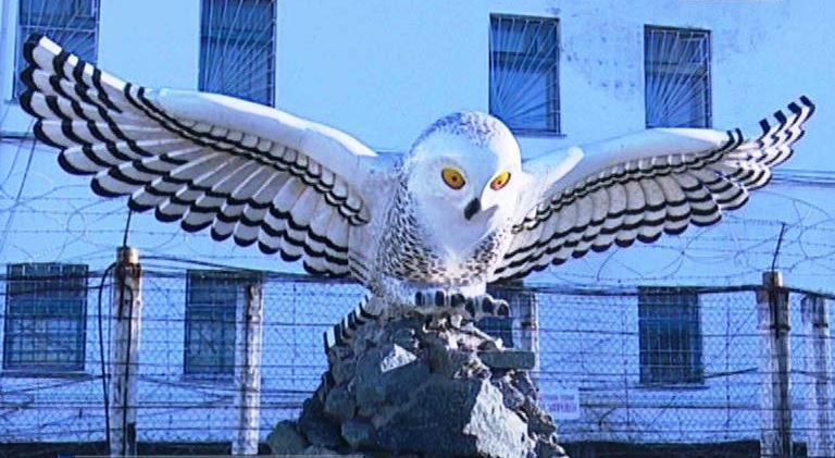 "Ледяной ад за полярным кругом: Секреты 'Полярной совы'"