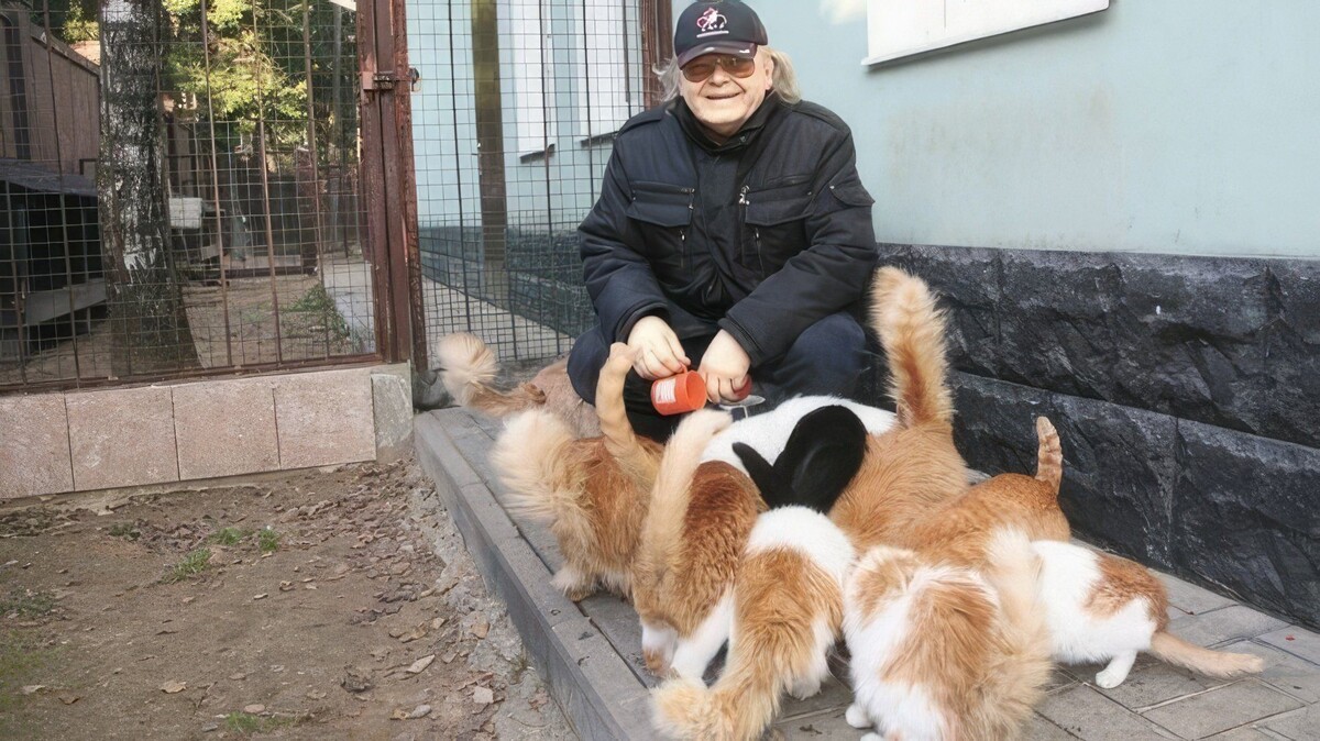 Фото из интернет.