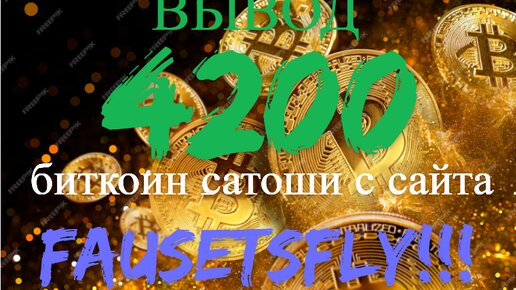 ВЫВОД 4200 биткоин сатоши и достижение 5 уровня на сайте FAUCETSFLY