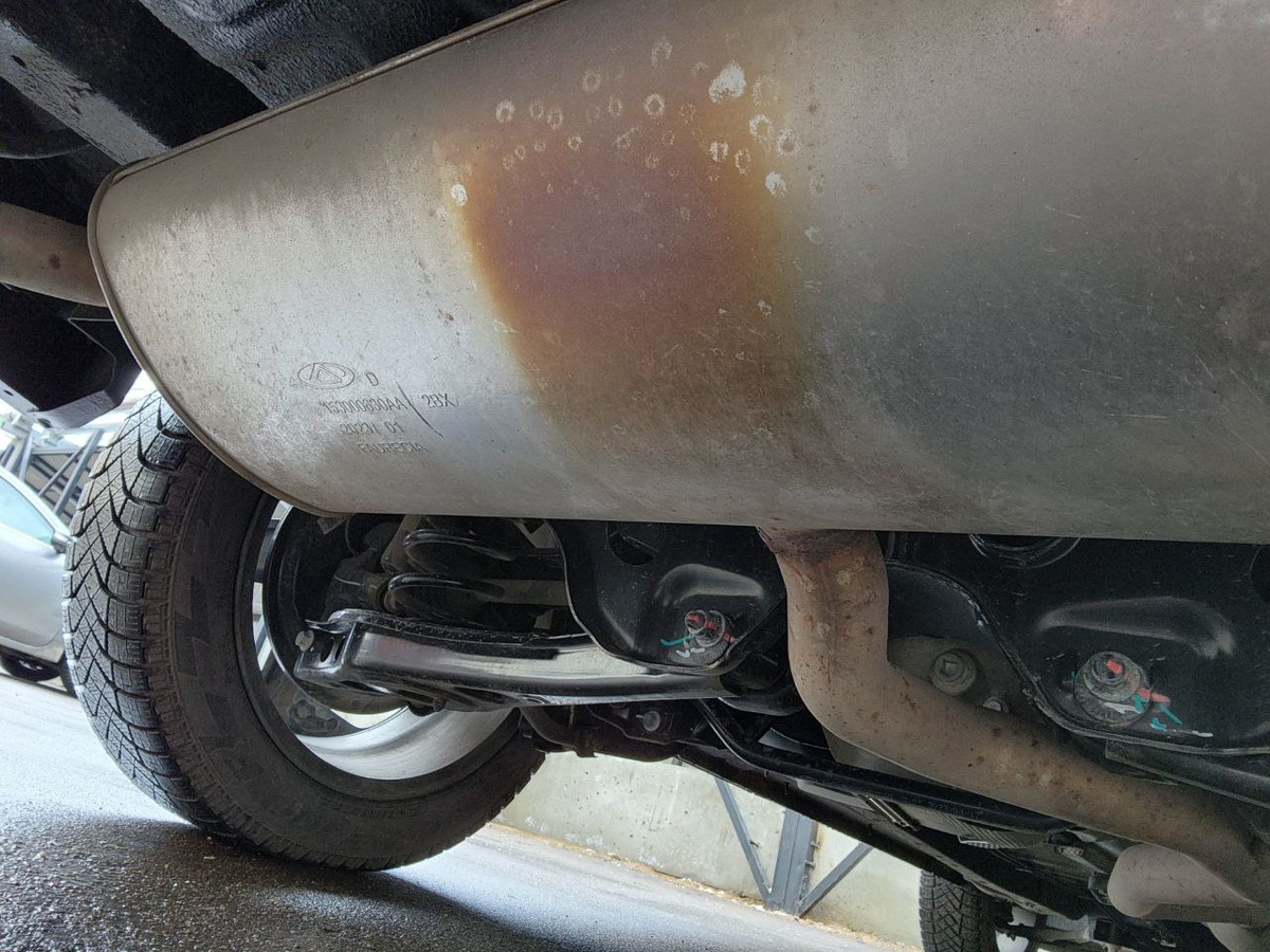 Глушак начинает быстро ржаветь