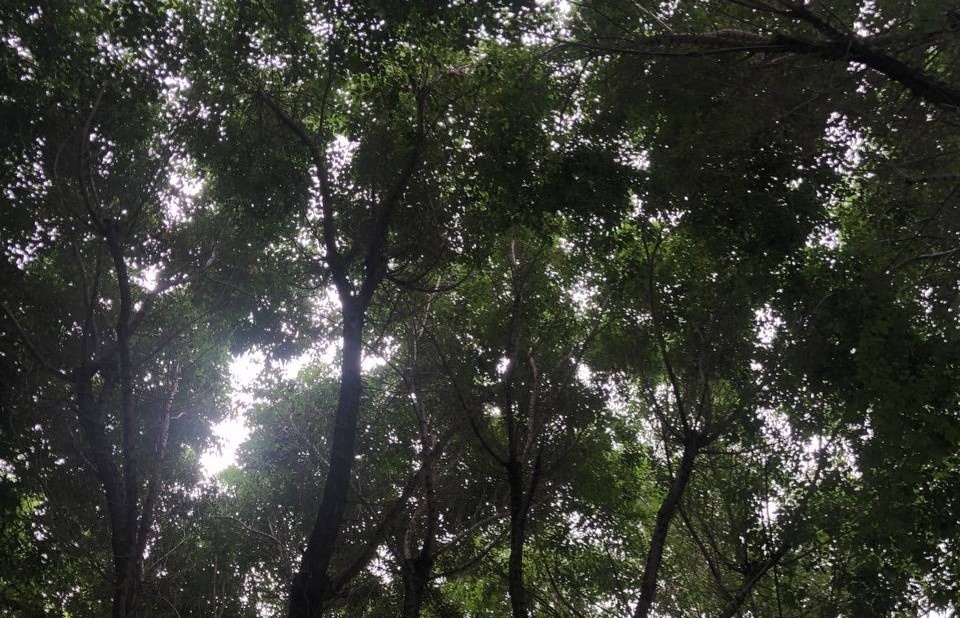 SM.News Тюмень📷
