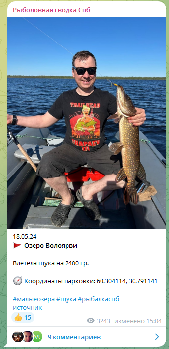 Щука редкий гость здесь, но по окуню одна из рыбных локаций - это возле мыса со стороны Волоярвского болота. там же иногда в бухте можно поймать щуку